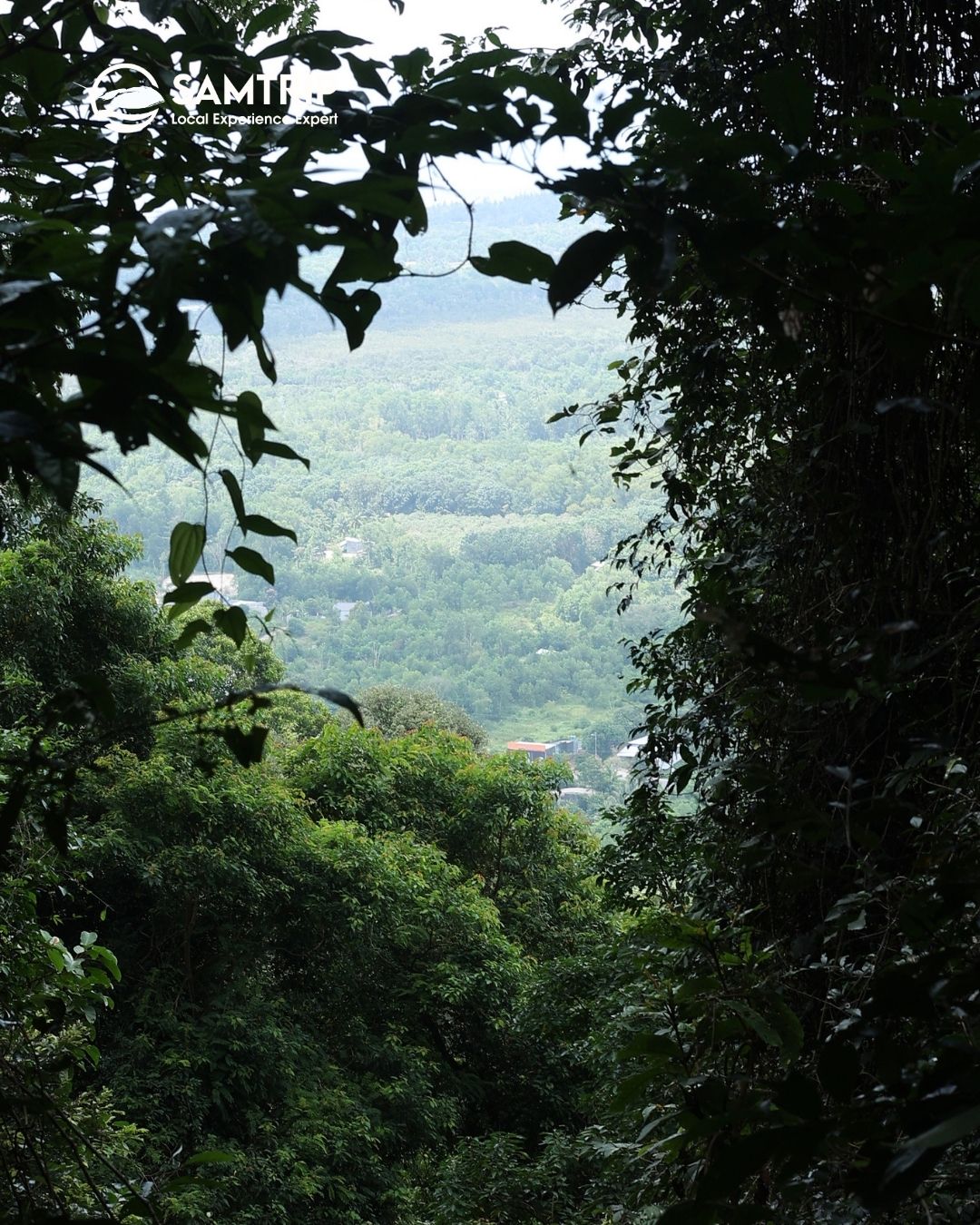 Tiên Sơn Đỉnh Phú Quốc, Tien Son Peak Phu Quoc, Tiên Sơn Đỉnh, Tien Son Peak, Tien Son Dinh Phu Quoc, đỉnh Tiên Sơn Phú Quốc, trekking Tiên Sơn Đỉnh, Tien Son Peak trekking, leo núi Tiên Sơn Đỉnh, Tien Son Peak hiking, tour Tiên Sơn Đỉnh Phú Quốc, Tien Son Peak tour, trekking Phú Quốc, Phu Quoc trekking, leo núi Phú Quốc, Phu Quoc hiking, tour trekking Phú Quốc, Phu Quoc trekking tour, hiking in Phu Quoc, jungle trekking Phu Quoc, trekking rừng Phú Quốc, Phu Quoc jungle adventure, khám phá rừng Phú Quốc, Phu Quoc rainforest trekking, du lịch mạo hiểm Phú Quốc, Phu Quoc adventure tour, du lịch thiên nhiên Phú Quốc, Phu Quoc nature tour, Phu Quoc eco tour, nóc nhà Phú Quốc, rooftop of Phu Quoc, điểm đến hoang sơ Phú Quốc, Phu Quoc hidden gem, Phú Quốc ngoài biển đảo, Phu Quoc off the beaten path, check in Tiên Sơn Đỉnh, Tien Son Peak check in, chinh phục Tiên Sơn Đỉnh, conquer Tien Son Peak, ngắm toàn cảnh Phú Quốc, Phu Quoc panoramic view, săn mây Phú Quốc, cloud hunting Phu Quoc, đường lên Tiên Sơn Đỉnh, way to Tien Son Peak, kinh nghiệm leo Tiên Sơn Đỉnh, Tien Son Peak hiking guide, Tiên Sơn Đỉnh có gì đẹp, what to see at Tien Son Peak, Tiên Sơn Đỉnh mùa nào đẹp, best time to visit Tien Son Peak, tour trekking Suối Tranh Tiên Sơn Đỉnh, Tien Son Peak and Tranh Stream tour, Suối Tranh Phú Quốc, Tranh Stream Phu Quoc, hoạt động ngoài trời Phú Quốc, Phu Quoc outdoor activities, địa điểm trekking Phú Quốc, best trekking in Phu Quoc, khám phá đảo ngọc, explore Phu Quoc Island, Phu Quoc Island adventure, book tour Tiên Sơn Đỉnh Phú Quốc, book Tien Son Peak tour, giá tour Tiên Sơn Đỉnh Phú Quốc, Tien Son Peak tour price, tour leo núi Phú Quốc có hướng dẫn viên, Phu Quoc hiking tour with guide, private trekking tour Phu Quoc, Phu Quoc adventure travel, Phu Quoc jungle trekking for beginners, Tien Son Peak travel guide, Tien Son Peak Phu Quoc travel guide